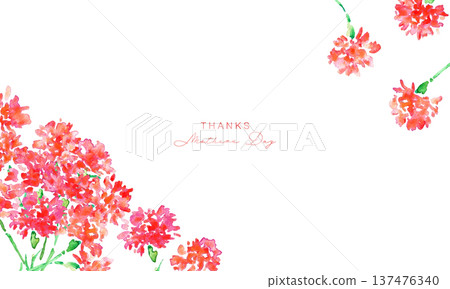 Watercolor painting. Watercolor carnation vector illustration. Carnation background for Mother's Day. 137476340