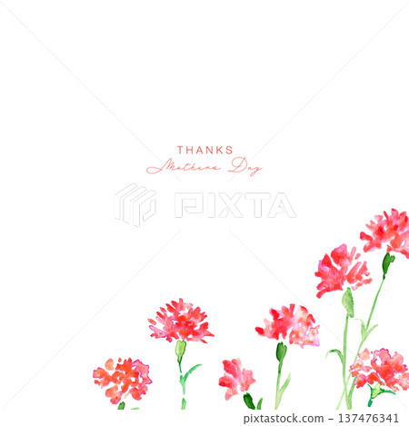 Watercolor painting. Watercolor carnation vector illustration. Carnation background for Mother's Day. 137476341