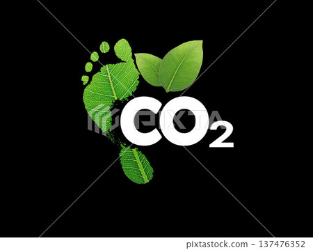 green leaf growing footprints, co2 symbol isolated on black Background. Reduce CO2 emission concept.Clean and friendly environment without carbon dioxide emissions. 137476352