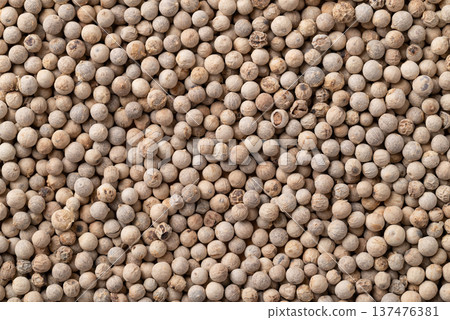 Close up of white peppercorns texture background, essential spices and seasoning for cooking Close up of white peppercorns texture background, essential spices and seasoning for cooking 137476381