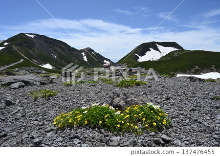 Climbing Mount Norikura, Northern Alps, Nagano Prefecture, Gifu Prefecture Climbing Mount Norikura, Northern Alps, Nagano Prefecture, Gifu Prefecture 137476455