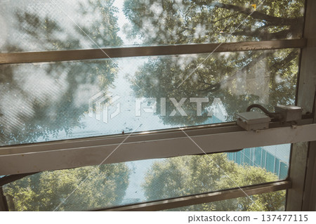 ceiling, roof, roofs 137477115