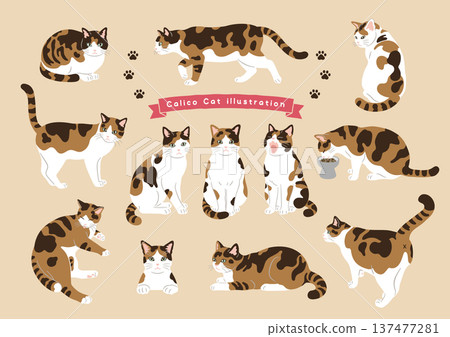 Various poses of cats Calico cat movement variations Various poses of cats Calico cat movement variations 137477281
