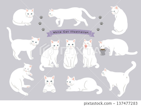 Various poses of cats White cat movement variations Various poses of cats White cat movement variations 137477283
