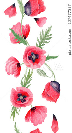 Red poppy vertical seamless border flower, buds, stem, leaves, loose petals isolated on white, hand-painted watercolor illustration for wedding stationery, packaging design, branding, prints, textiles 137477557