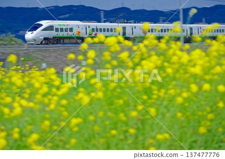 Rape flowers and express trains 137477776