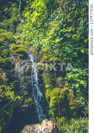 A small waterfall of spring water 137477850