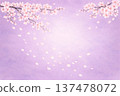 Cherry blossom scene, spring frame with dancing flowers, watercolor style, Kyoto purple 137478072