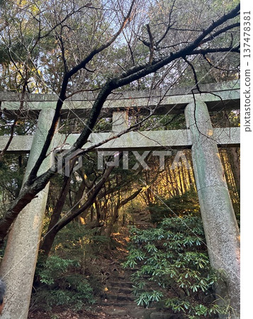 Torii gate on the hiking trail leading from Kamado Shrine to Mount Homan Torii gate on the hiking trail leading from Kamado Shrine to Mount Homan 137478381