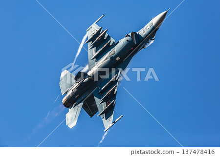 Fighter planes at the air show 137478416