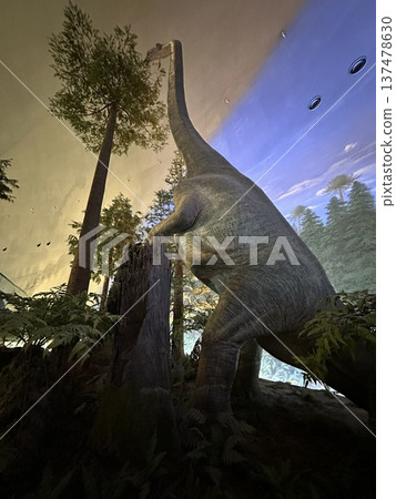 Dinosaur Museum ☆mar_lapin 137478630