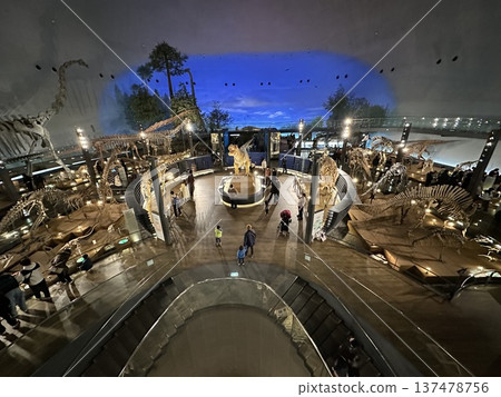 Dinosaur Museum ☆mar_lapin 137478756
