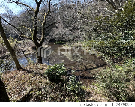柿田川公園☆mar_lapin 柿田川公園☆mar_lapin 137479099