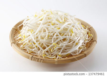 豆芽 豆芽 137479461