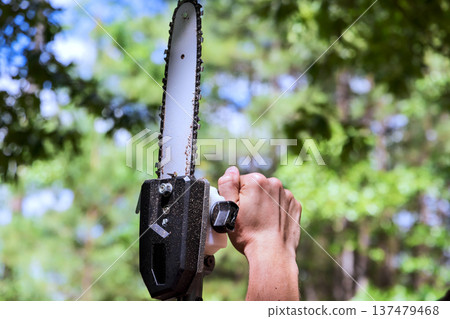 Worker operates chainsaw to cut down tree in forest, surrounded by greenery at park Worker operates chainsaw to cut down tree in forest, surrounded by greenery at park 137479468