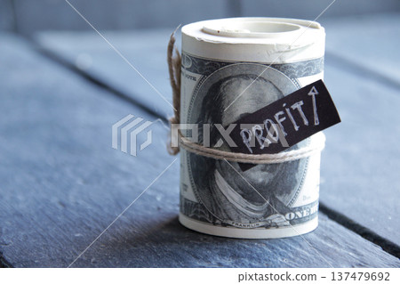 Money. Successful business idea. Money. Successful business idea. 137479692