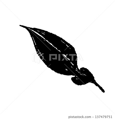 柚子葉插畫(單片葉) 柚子葉插畫(單片葉) 137479751