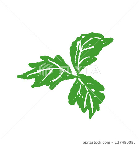 Simple trefoil leaf illustration Simple trefoil leaf illustration 137480083