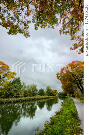 Scenic autumn setting with vibrant leaves and calm water reflection 137480126