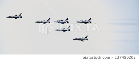 2026 Komaki Air Base Air Show Blue Impulse Exhibition Flight 2026 Komaki Air Base Air Show Blue Impulse Exhibition Flight 137480202