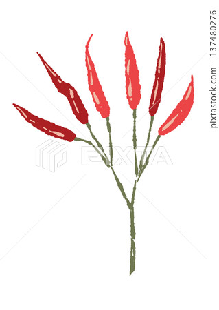 手繪辣椒（高野椒，多枝）及其枝條插圖 137480276