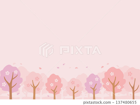 Pink cherry blossom background 137480655