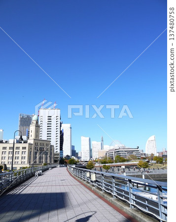 Elephant's Nose Park under the clear blue sky 137480758