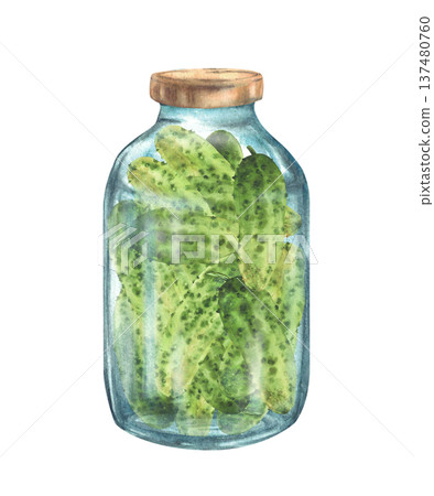 Pickled, canned cucumbers in glass jar. Watercolor hand painted preservation food illustration isolated from background for recipes for marinating garden vegetables and rustic label, packaging design Pickled, canned cucumbers in glass jar. Watercolor hand painted preservation food illustration isolated from background for recipes for marinating garden vegetables and rustic label, packaging design 137480760