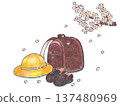 Illustration of a school bag, yellow hat, and cherry blossoms 137480969