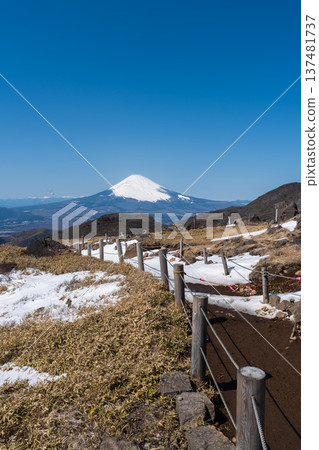 Snow-capped Mount Fuji as seen from the summit of Hakone Komagatake on a clear day 137481737