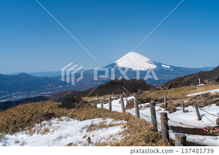 Snow-capped Mount Fuji as seen from the summit of Hakone Komagatake on a clear day 137481739