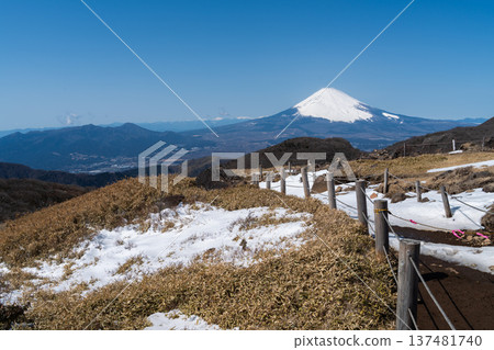 晴朗的日子裡，從箱根駒嶽山頂眺望白雪皚皚的富士山 137481740