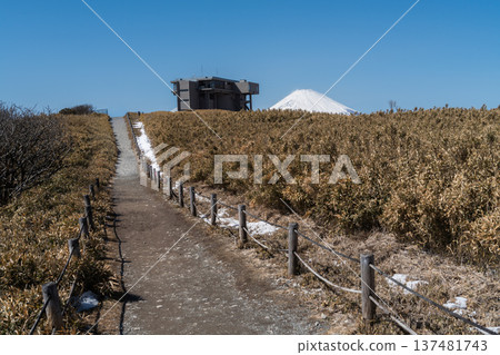 白雪皚皚的山間小徑和富士山的壯麗景色：箱根能量點之旅 137481743