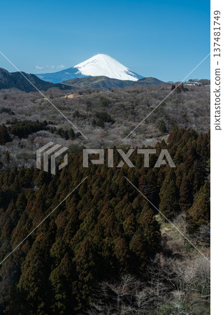 從箱根駒嶽山頂可欣賞到壯麗的景色:富士山和蘆之湖的全景盡收眼底。 從箱根駒嶽山頂可欣賞到壯麗的景色:富士山和蘆之湖的全景盡收眼底。 137481749