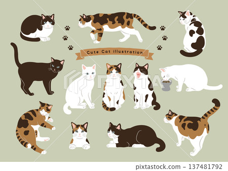 Various cat pose sets, movement variations Various cat pose sets, movement variations 137481792