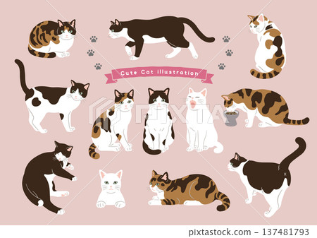 各種貓咪姿勢組合,動作變化 各種貓咪姿勢組合,動作變化 137481793