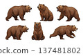 Bear illustration set 137481802