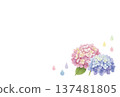 Hydrangea frame painted by watercolor 137481805