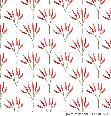 Seamless pattern background illustration of chili peppers with branches (red, multiple) Seamless pattern background illustration of chili peppers with branches (red, multiple) 137481811