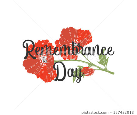 Remembrance Day lettering with Poppy flowers hand drawn, on white background. 137482018