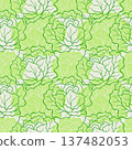pattern of green lettuce heads, an outline graphic style associated with healthy eating, eco-products and vegetables, used for textiles, packaging or background images. 137482053