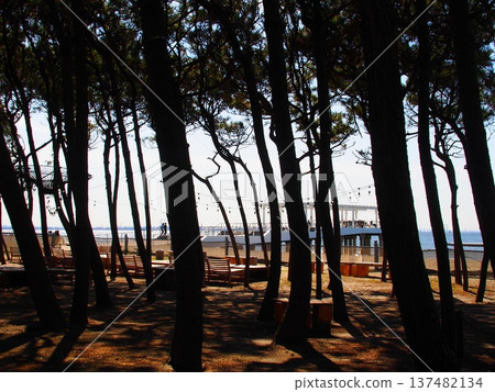 伊納格海灘延伸至海邊的木製平台 137482134