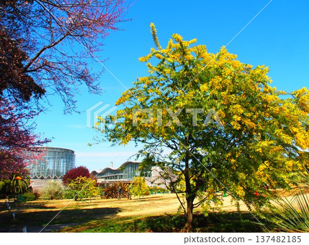 千葉市鮮花博物館 千葉市鮮花博物館 137482185