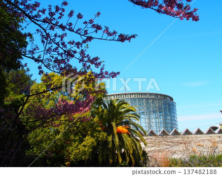 City Museum of Flowers in Chiba City 137482188