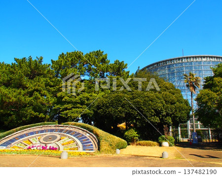 千葉市鮮花博物館 137482190