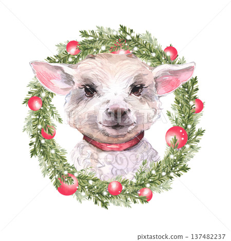 Portrait of a white lamb head surrounded by a green fir branch Christmas wreath. Decorated with red balls and snow on a white background. Watercolor Portrait of a white lamb head surrounded by a green fir branch Christmas wreath. Decorated with red balls and snow on a white background. Watercolor 137482237
