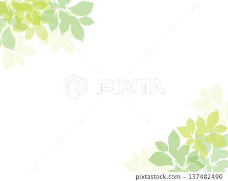 清新綠色葉子邊框，植物設計，春季植物裝飾，透明PNG格式 137482490