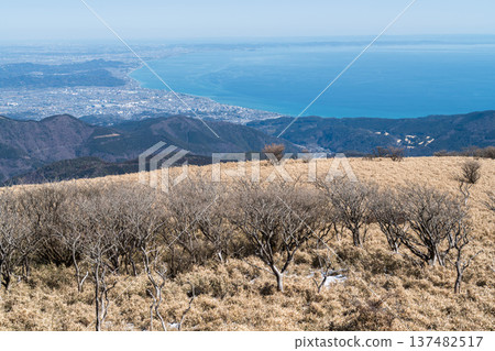 從箱根本宮眺望相模灣的壯麗景色 137482517