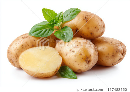 Fresh potato raw vegetable organic food healthy ingredient sliced potato white background cooking concept natural produce brown skin potato with 137482560