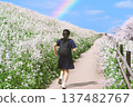 學生們沿著一條被彩虹覆蓋的道路奔跑，道路兩旁是櫻花和海濱蘿蔔。 137482767